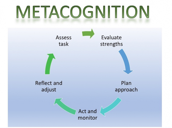 metacognition diagram